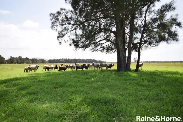 Fifth view of Homely rural property listing, 1111 Greenwell Point Road, Pyree NSW 2540