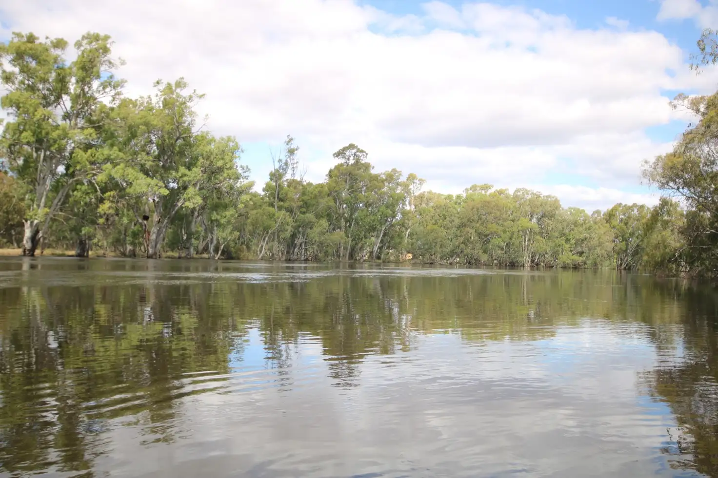Main view of Homely rural property listing, 164 Morton Lane,, Benjeroop VIC 3579
