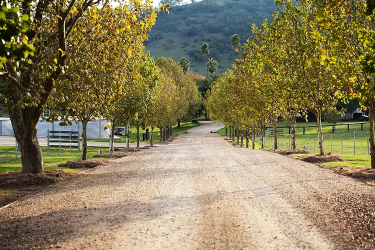 Sixth view of Homely rural property listing, "Dungowan Station" 803 Ogunbil Road Dungowan via, Tamworth NSW 2340