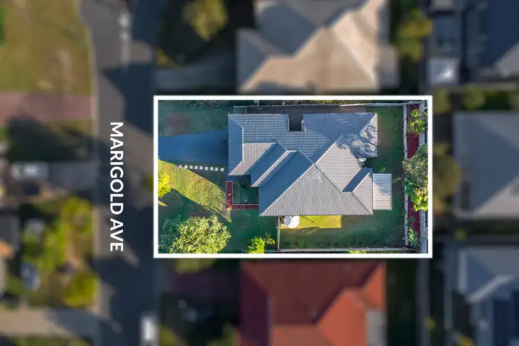 13 Marigold Avenue, Regents Park QLD 4118