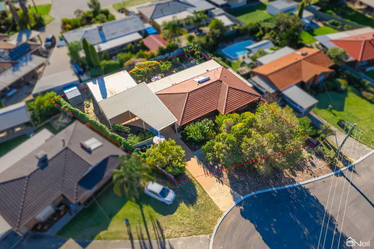 Main view of Homely house listing, 7 Cull Court, Armadale WA 6112
