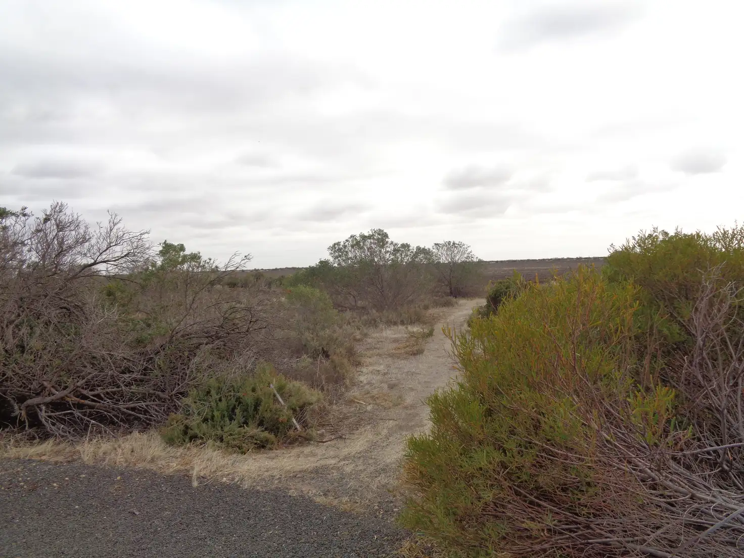 Main view of Homely land listing, 7 Skua Court, Thompson Beach SA 5501