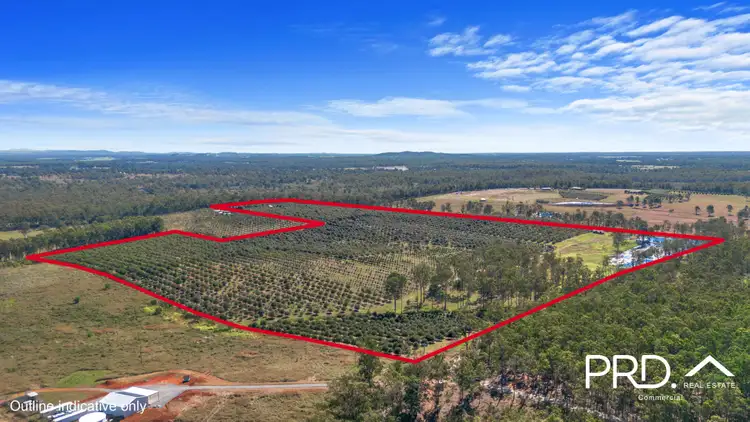 164 Old Bruce Highway, Owanyilla QLD 4650