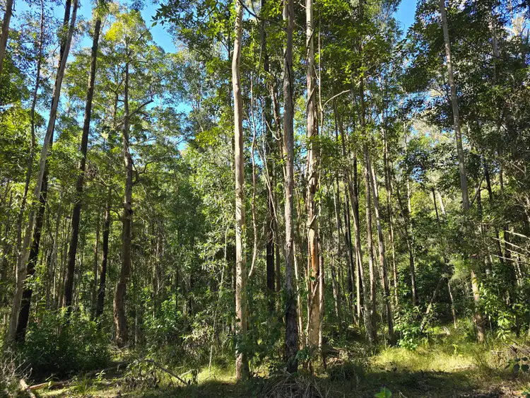 Third view of Homely rural property listing, 0 SUNDAY CREEK ROAD, Jimna QLD 4515