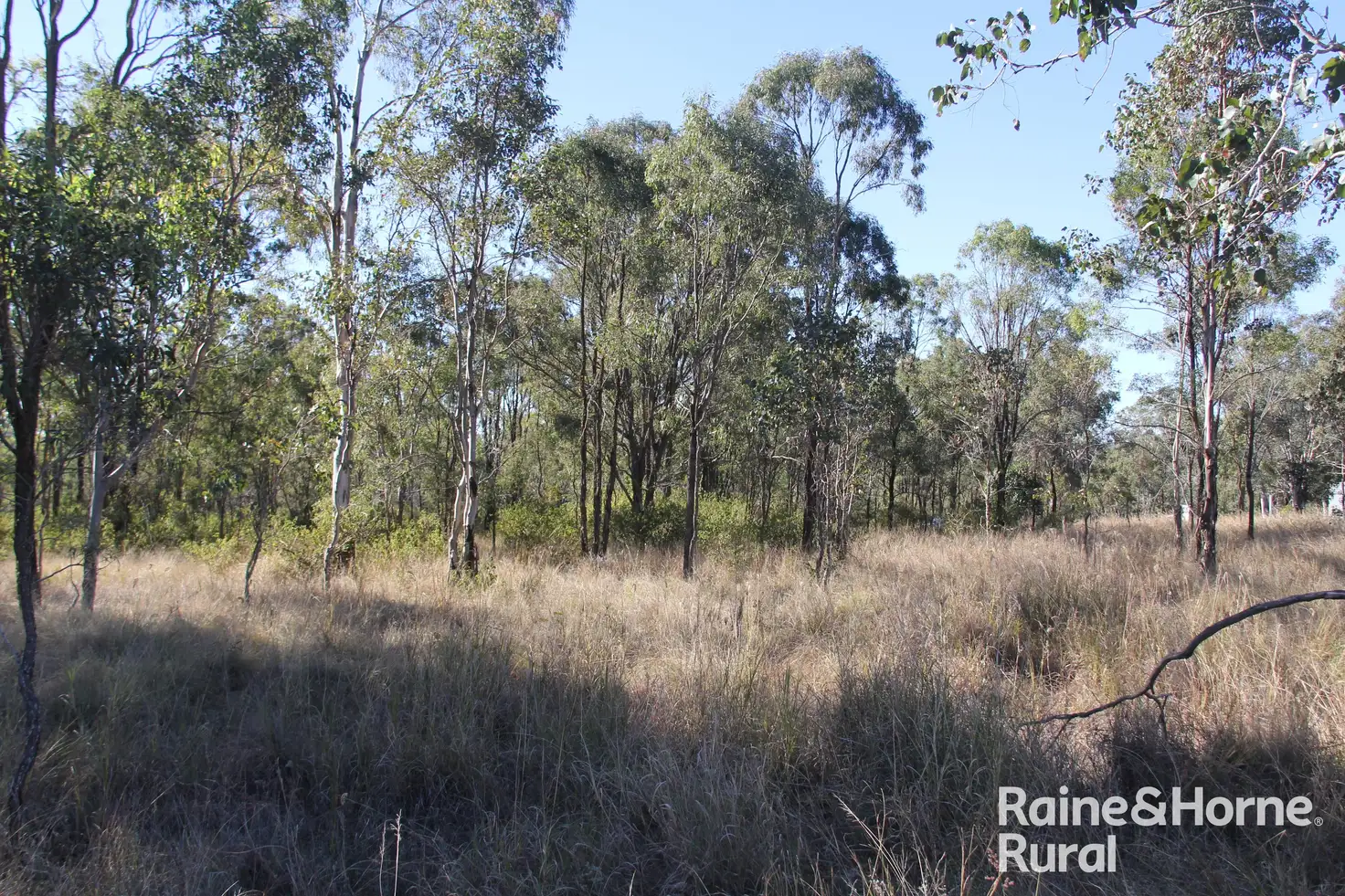 Main view of Homely rural property listing, lot/16 Thompson Road, Runnymede QLD 4615