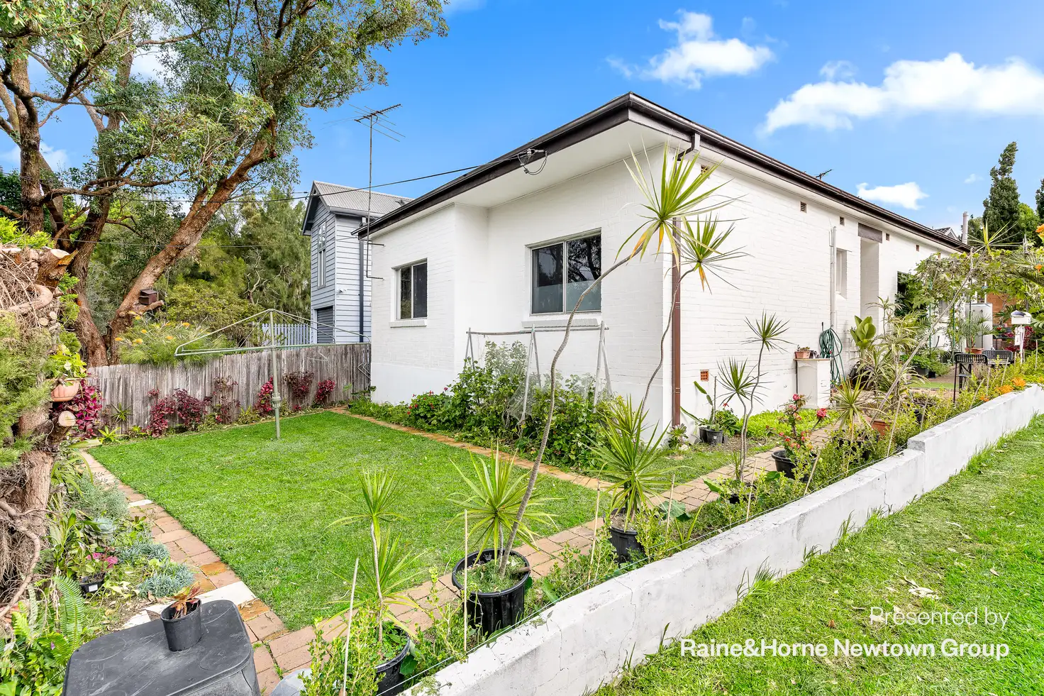 Main view of Homely flat listing, 41 Cook Street, Tempe NSW 2044