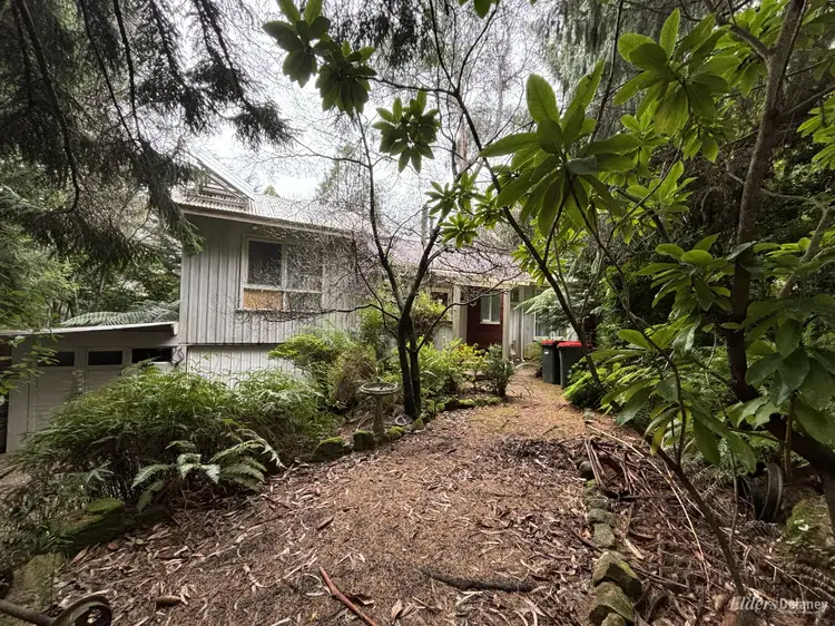 Main view of Homely house listing, 9 Scottys Track, Tanjil Bren VIC 3833