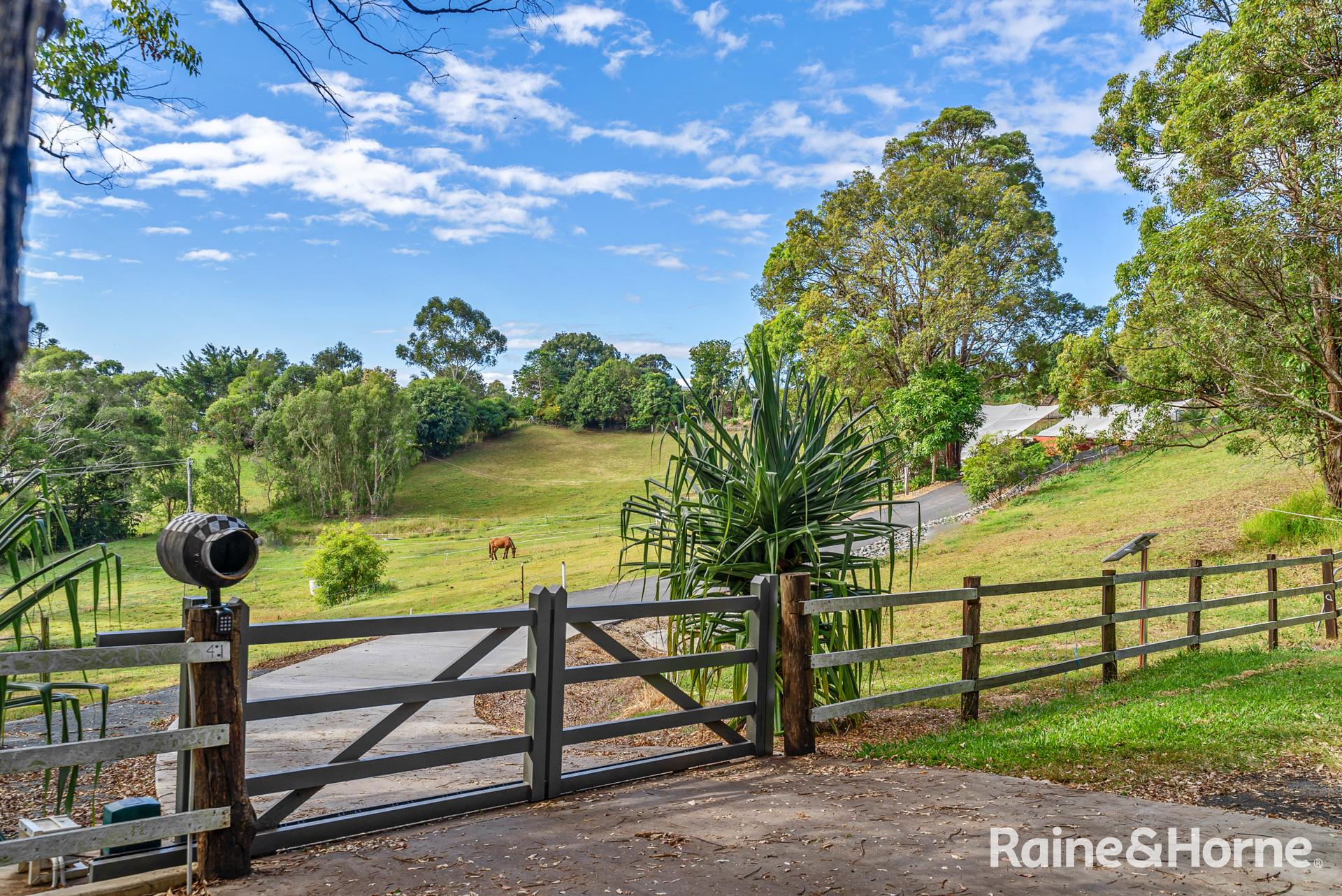 Main view of Homely rural property listing, 41 Warwick Park Road, Sleepy Hollow NSW 2483