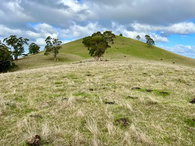 Sixth view of Homely land listing, Red Gap Road/Fagans Lane, Goldie VIC 3435