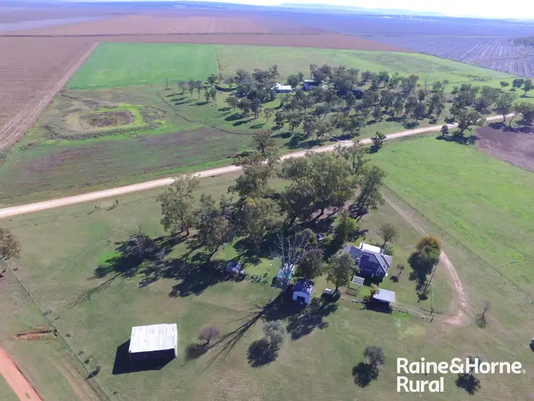 Third view of Homely rural property listing, 579 Inverkip Road, Quirindi NSW 2343