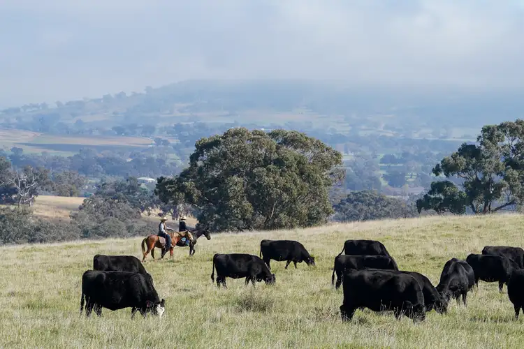 'Bunyarra Range' 60 Bunyarra Lane, Orange NSW 2800