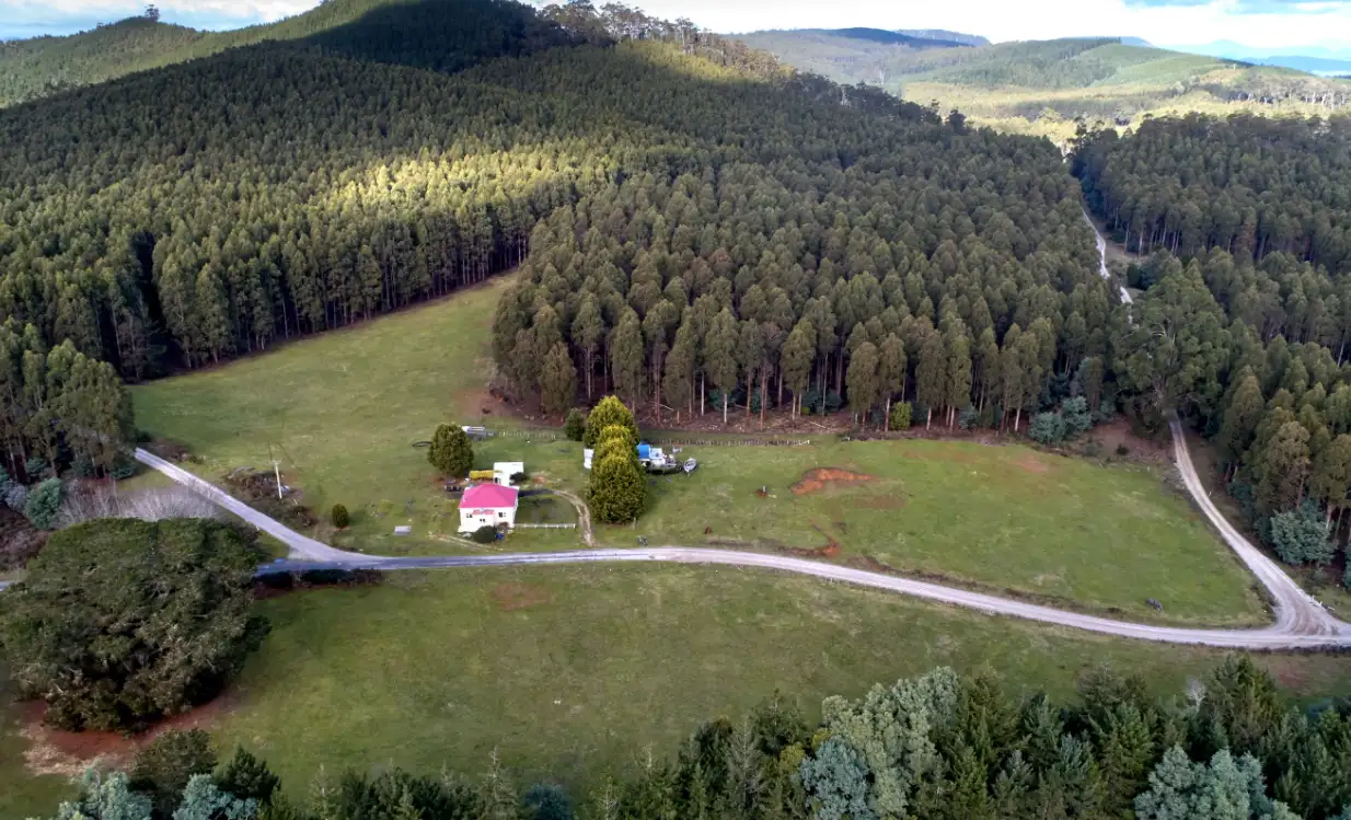 Main view of Homely house listing, 10 Base Road, Forester TAS 7260