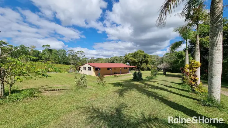 Main view of Homely house listing, 21 Trinity Close, Julatten QLD 4871