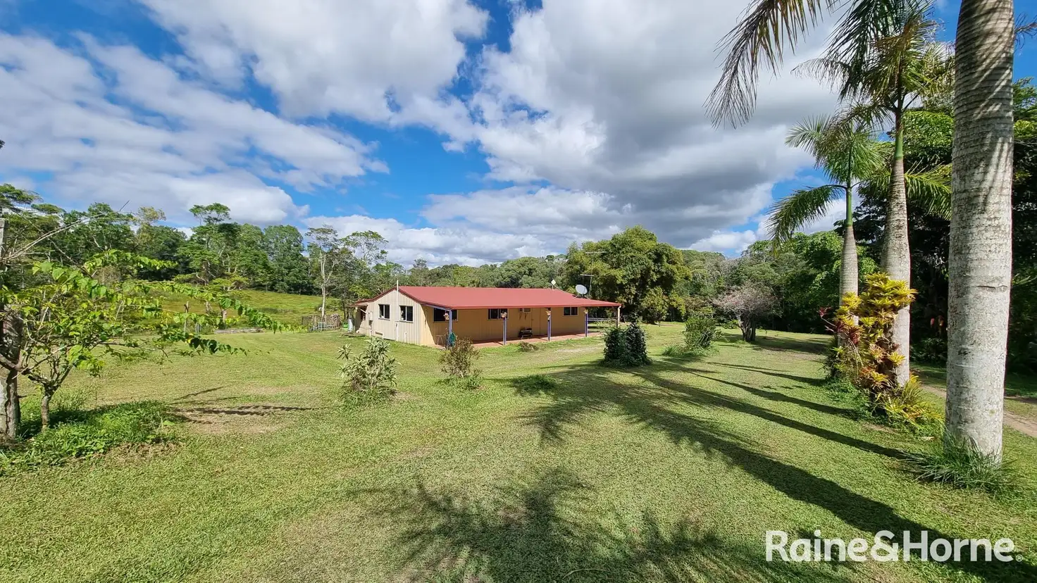Main view of Homely house listing, 21 Trinity Close, Julatten QLD 4871