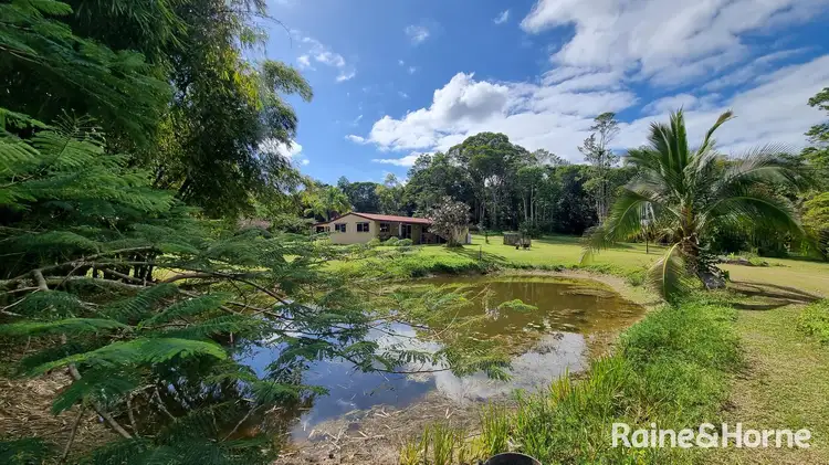 Third view of Homely house listing, 21 Trinity Close, Julatten QLD 4871