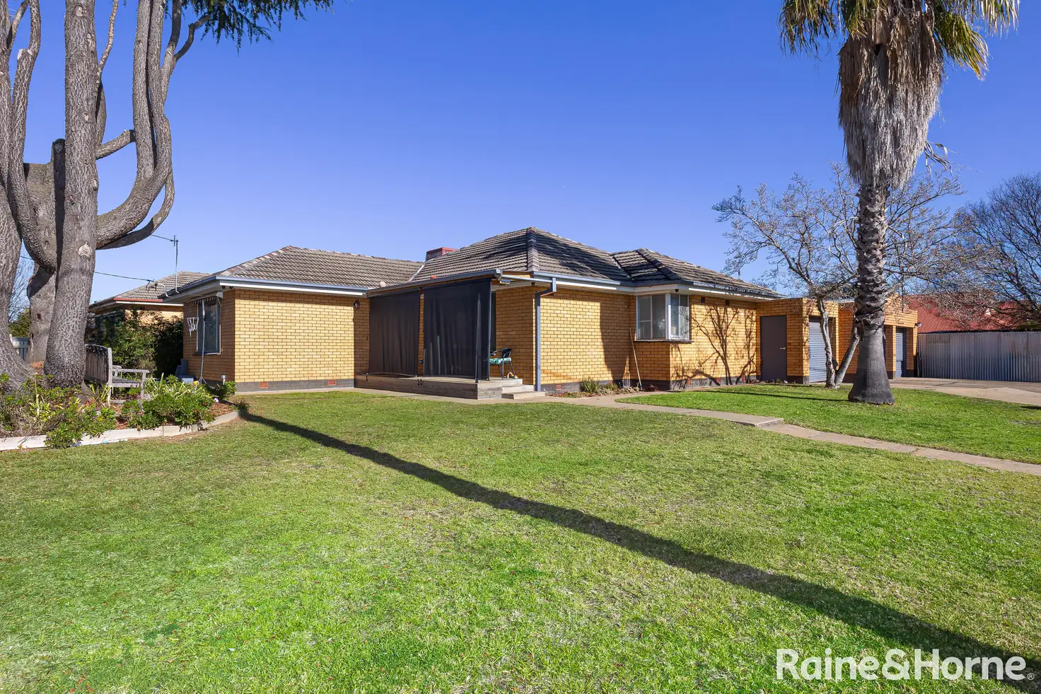 Main view of Homely house listing, 20 Martin Street, Tolland NSW 2650