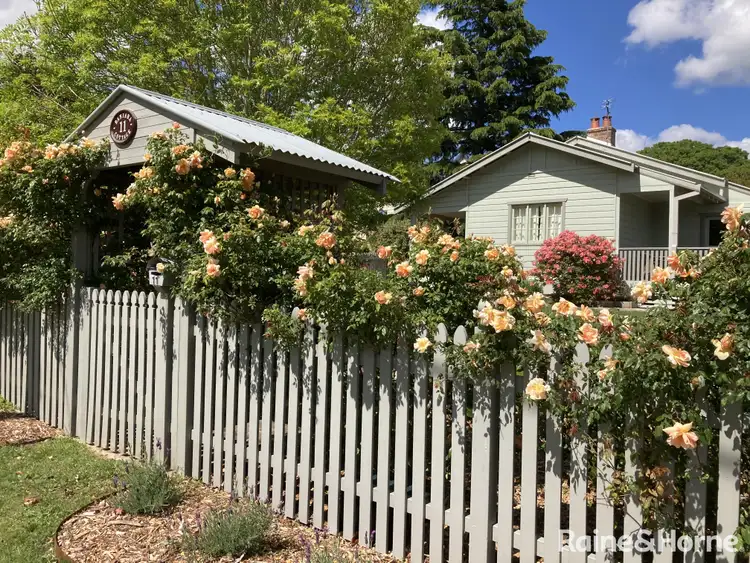 11 Rosenthal Avenue