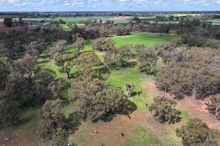 Seventh view of Homely rural property listing, 516 O'Donnell Road, Rochester VIC 3561