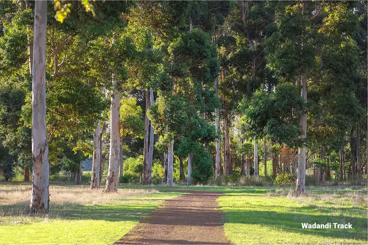 Sixth view of Homely land listing, 26 McDermott Parade, Witchcliffe WA 6286