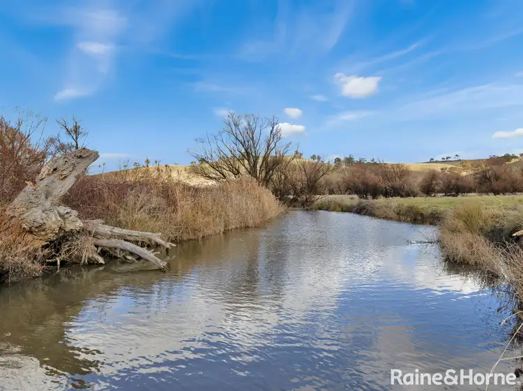 Fourth view of Homely rural property listing, 374 Swallows Nest Road, Mount David NSW 2795