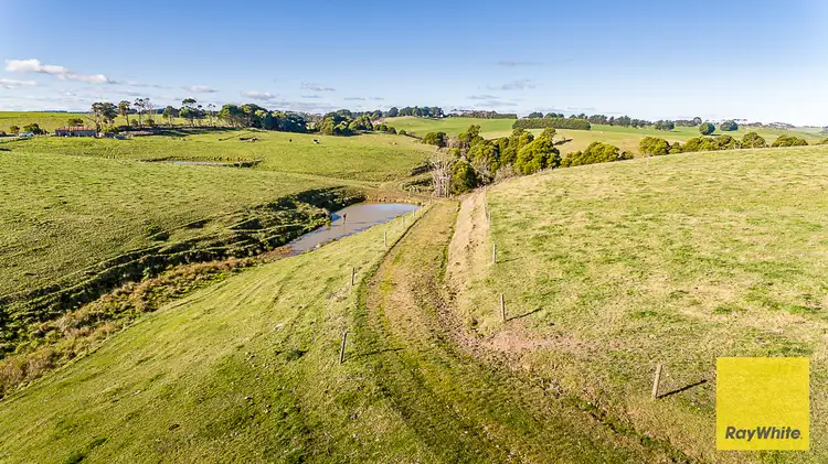 Second view of Homely rural property listing, 500 Buffalo North Road, Buffalo VIC 3958