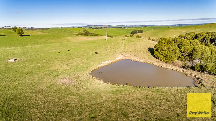 Fourth view of Homely rural property listing, 500 Buffalo North Road, Buffalo VIC 3958