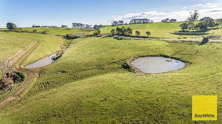 Fifth view of Homely rural property listing, 500 Buffalo North Road, Buffalo VIC 3958