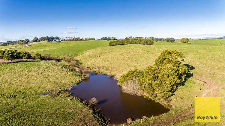 Sixth view of Homely rural property listing, 500 Buffalo North Road, Buffalo VIC 3958