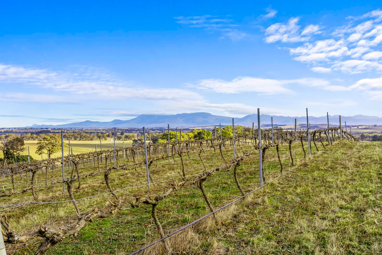 Main view of Homely rural property listing, Lots 50A-15 Westgate Road, Armstrong VIC 3377