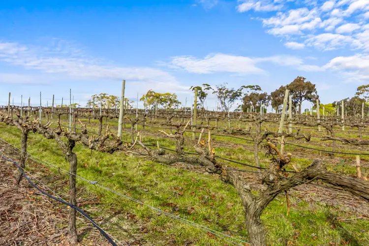 Fifth view of Homely rural property listing, Lots 50A-15 Westgate Road, Armstrong VIC 3377