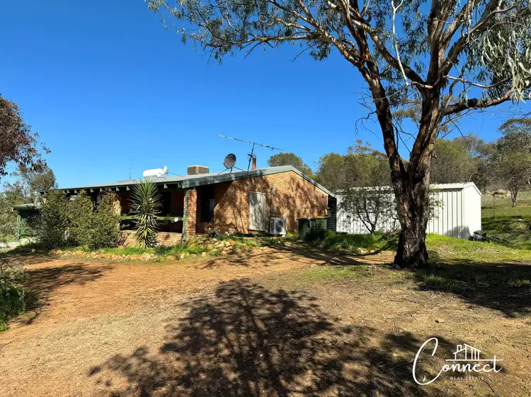 Main view of Homely house listing, 10 Purkiss Drive, Northam WA 6401