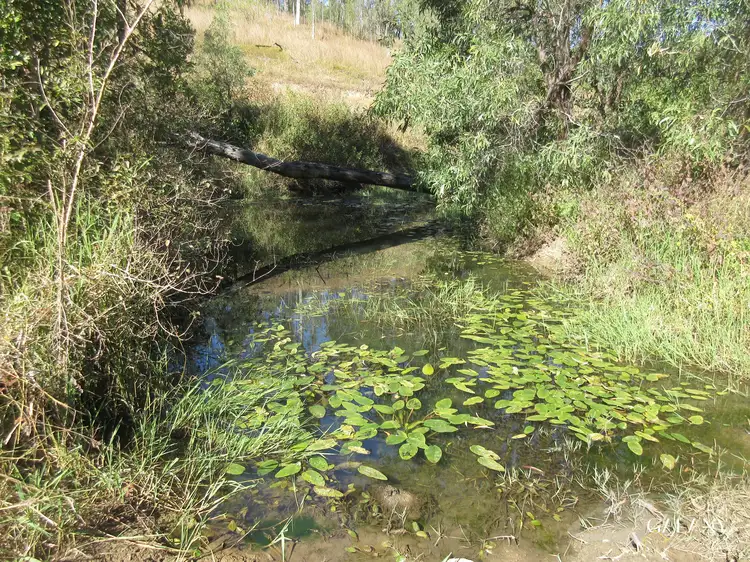 Seventh view of Homely land listing, Walters Road, New Moonta QLD 4671