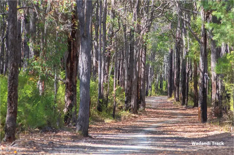 Seventh view of Homely land listing, 28 McDermott Parade, Witchcliffe WA 6286