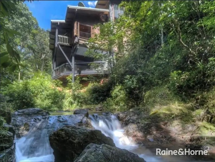 472 Buchanan Creek Road, Cow Bay, Daintree QLD 4873