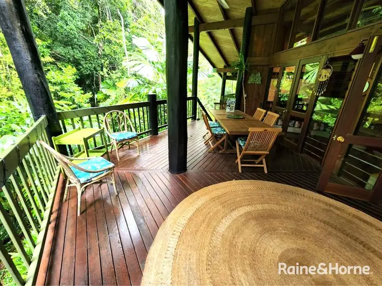 472 Buchanan Creek Road, Cow Bay, Daintree QLD 4873