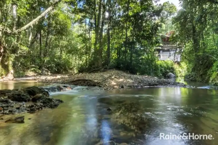 Fifth view of Homely house listing, 472 Buchanan Creek Road, Cow Bay, Daintree QLD 4873