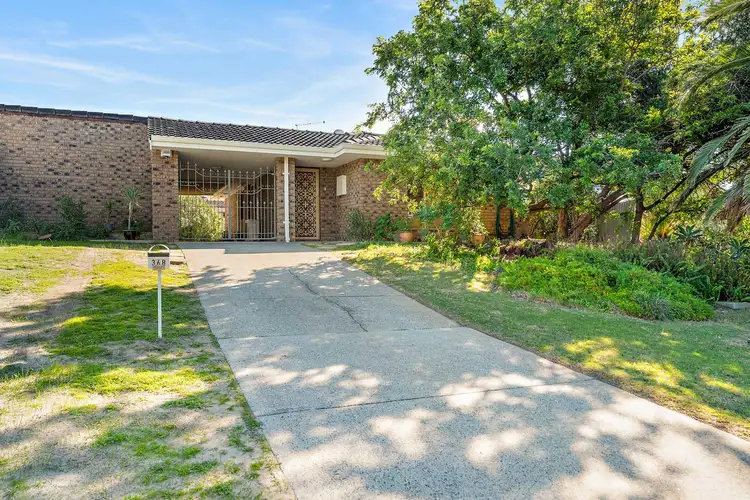Main view of Homely semi-detached listing, 36B Seagull Way, Yangebup WA 6164