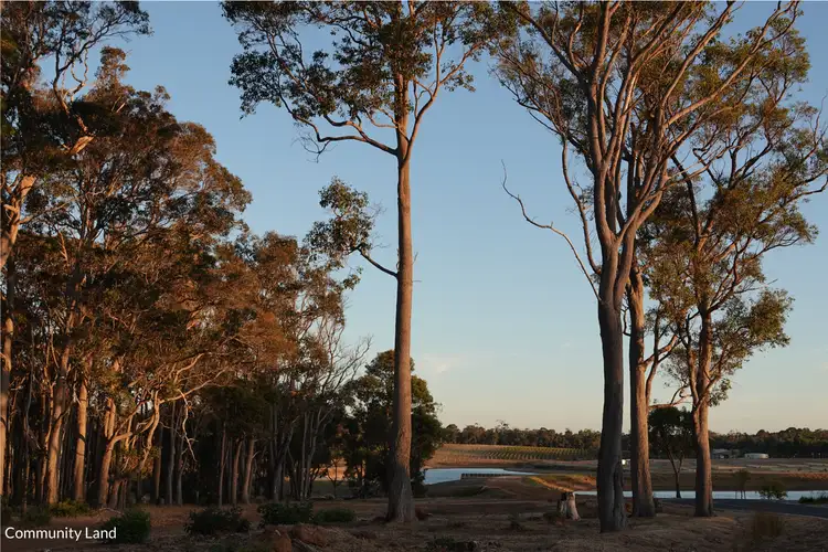 Sixth view of Homely land listing, 5 Kulbardi Way, Witchcliffe WA 6286