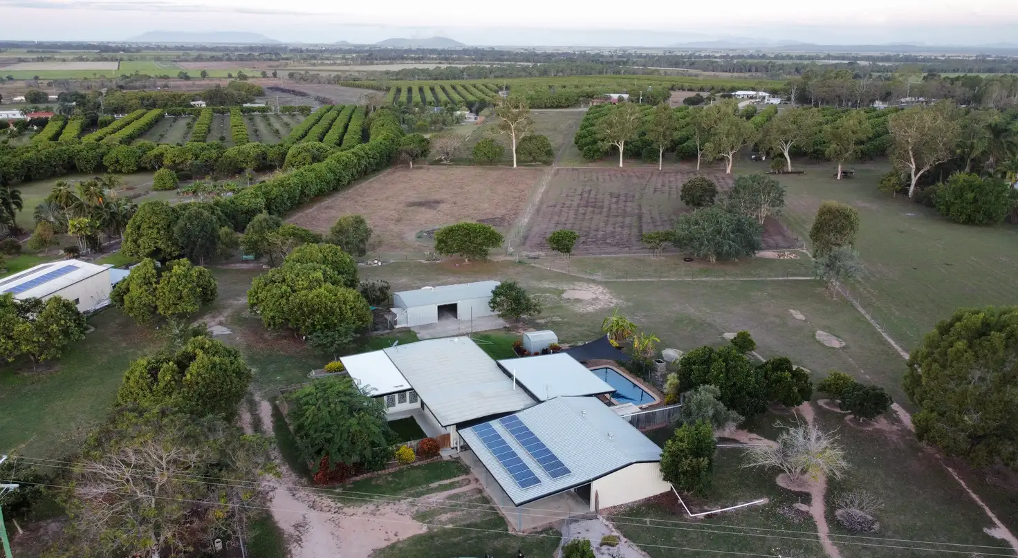 Main view of Homely house listing, 117 Mount Kelly Drive, Mount Kelly QLD 4807