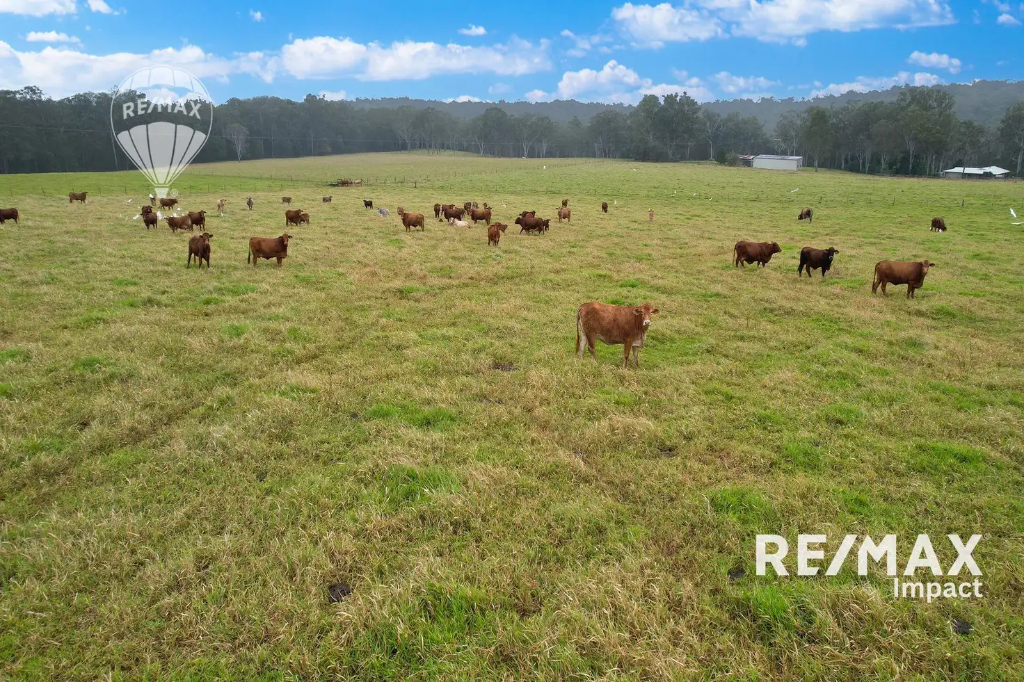 Main view of Homely rural property listing, 209 Elms Road, Wondecla QLD 4887