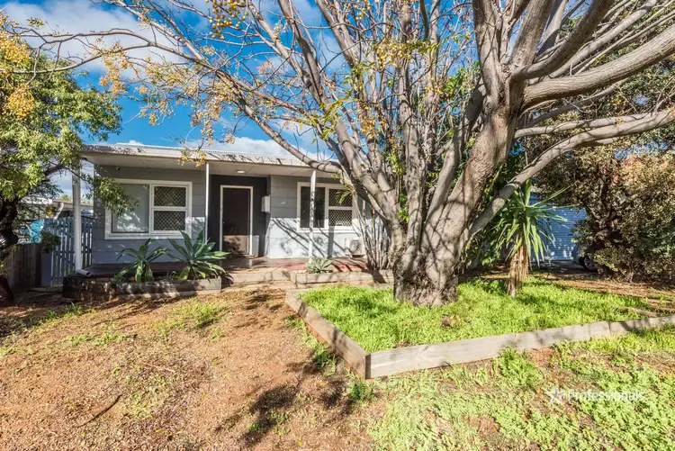 6 Carter Street, Rangeway WA 6530