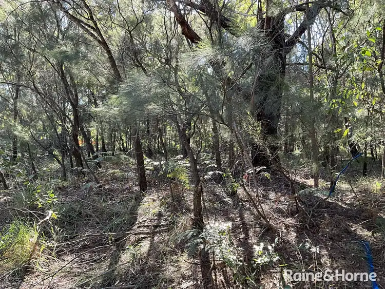 Fifth view of Homely land listing, 39 Tahlin Drive, Russell Island QLD 4184