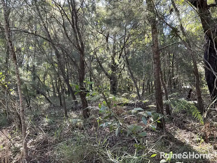 Sixth view of Homely land listing, 39 Tahlin Drive, Russell Island QLD 4184