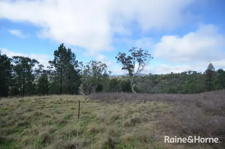 Fifth view of Homely land listing, 60 Ray Carter Drive, Quirindi NSW 2343