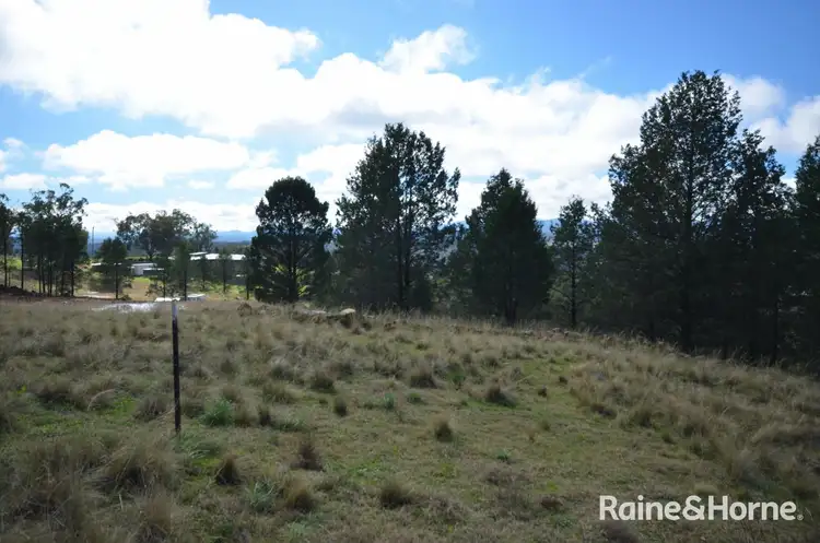 Sixth view of Homely land listing, 60 Ray Carter Drive, Quirindi NSW 2343