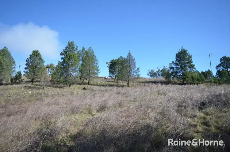 Seventh view of Homely land listing, 60 Ray Carter Drive, Quirindi NSW 2343