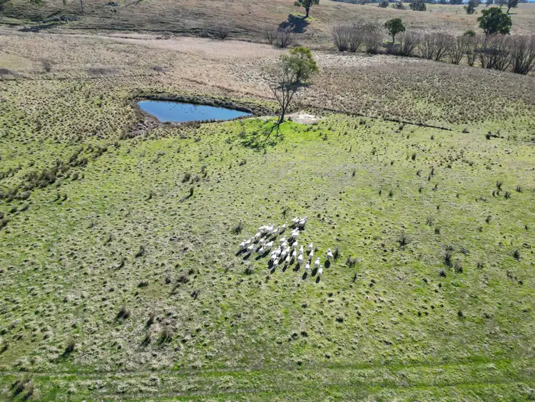 Seventh view of Homely land listing, 69 Somers Lane, Mandurama NSW 2792