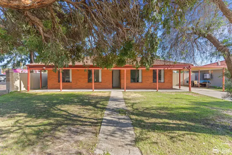 21 Fortunella Grove, Seville Grove WA 6112