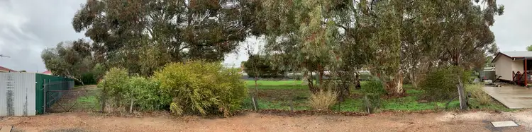 Fourth view of Homely land listing, 10 Friedrich Street, Freeling SA 5372