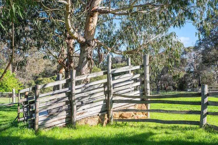 Fifth view of Homely rural property listing, 7031 Caves Road, Redgate WA 6286